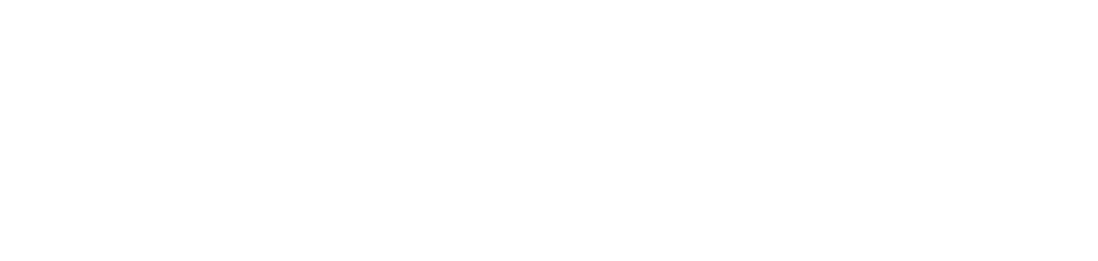 Anthem Software
